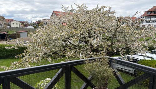 Apartes Studio am See - Foto 2