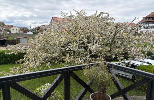 Apartes Studio am See - Foto 2