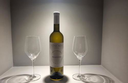 Ninemia Naxos Suites - Foto 47