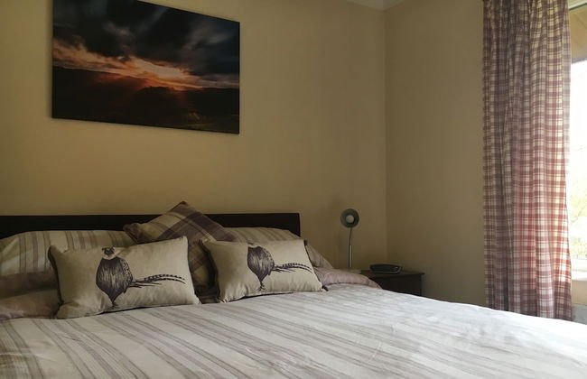 Broncoedwig Devil's Bridge - Foto 2