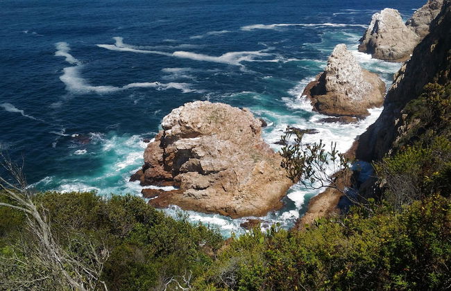 Lily Pond Country Lodge - Foto 79