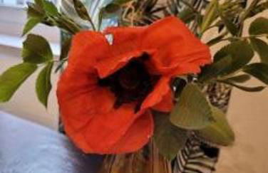 Alte Färberei - Wohnen in der Altstadt - Foto 12