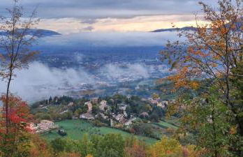 Profumo di Bosco - Photo 27