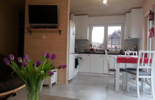 Biały Żagiel - Dom do wynajęcia Pluski - Foto 5