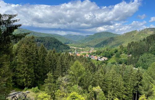 Bergstadt Apartment Lautenthal ,Modern, Stylisch, Geräumig - Foto 66