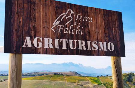 Agriturismo Terra dei Falchi - Foto 2