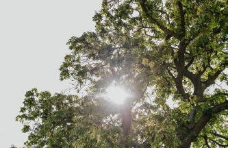 Halfhouse Wieck - Foto 32