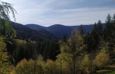 Maison de montagne vue magnifique - Foto 29