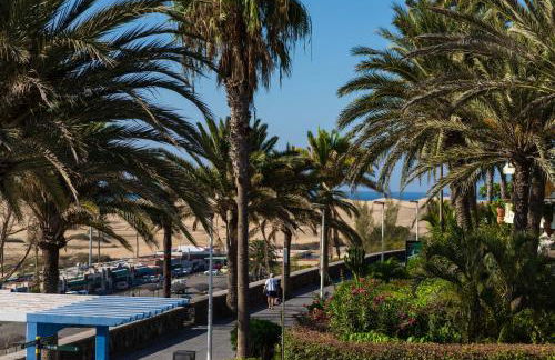 Apartamentos El Paseo - Foto 92