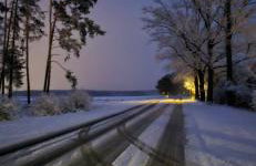 Waldpension Gussow - Foto 59