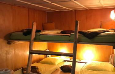 Das wilde Auwaldhaus - Foto 16