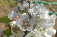 Garden house escape - Foto 43