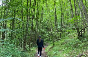 Casa Angiolino, angolo di pace vicino all'Orrido di Gea - Photo 33