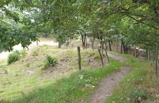 Bright Cottage Retreat in Silkeborg-by Traum - Foto 26