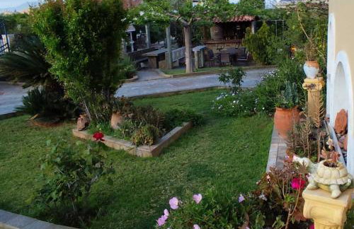 Domus verde - Foto 6