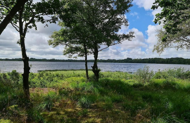 Spacious Holiday Home in Ansager near Lake - Foto 5