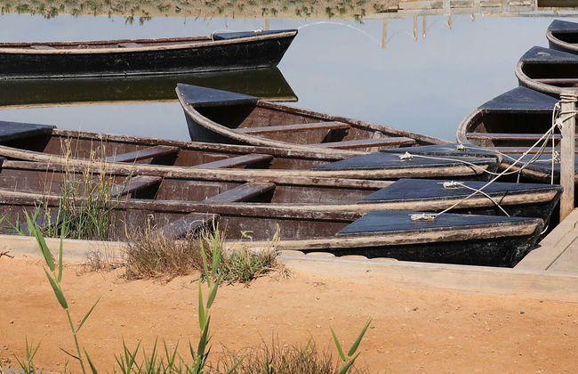 Entrada a MónNatura Delta del Ebro - Foto 1