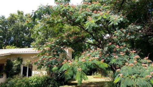 Clos des Loriots - Foto 3