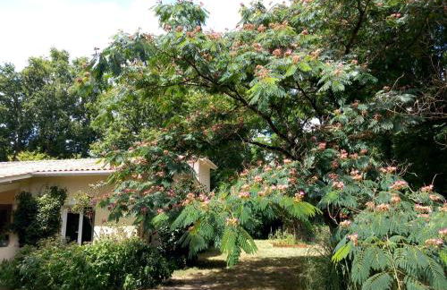 Clos des Loriots - Foto 3