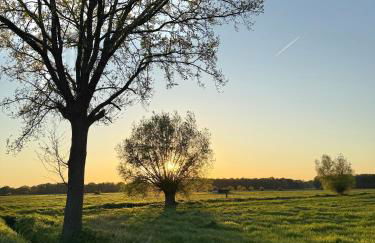 Q80 Appartement - Foto 49