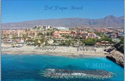 Residencia El Duque - 1, VILLA MARIUS - Foto 58