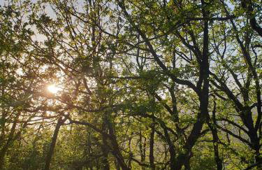 Penelope's Guest House - Foto 17