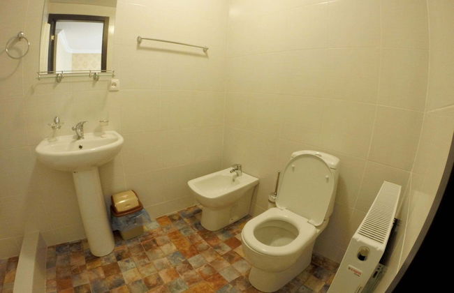 ArtVilla Bakuriani - Foto 25