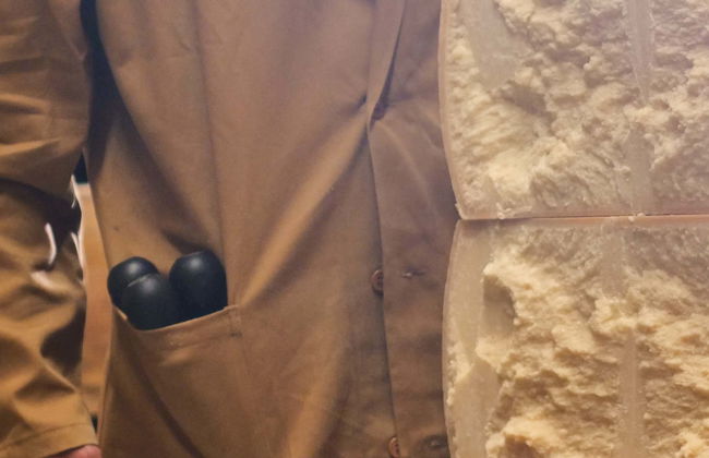 Visita a una fábrica de queso parmesano y jamón - Foto 1