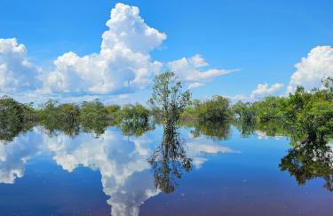 Premium Amazon Jungle Lodge - Foto 7