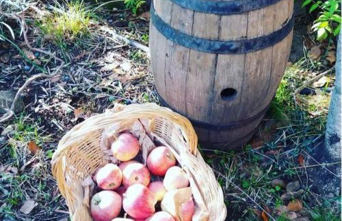 Villa Anna - Foto 28