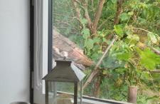 Gîte Ô Nature - Foto 35