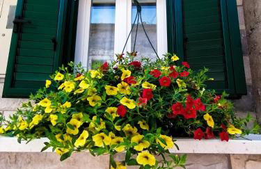 Villa Tri sulara - Photo 6