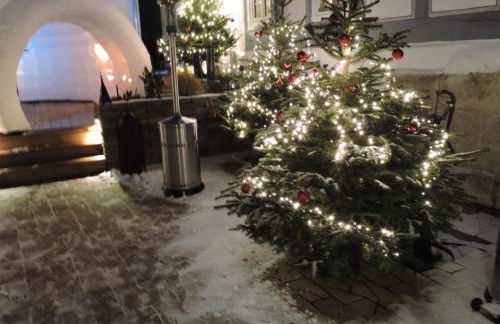 Wohlfühl Appartments - Foto 17