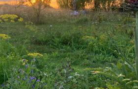 Simples Escales : gîte nature, détente et sauna - Photo 23