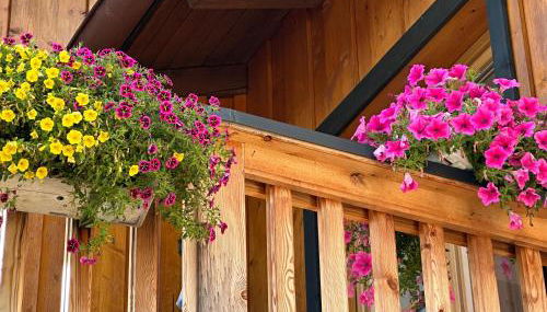 Ferienwohnung Eisenberger inkl. Chiemgaukarte - Foto 5