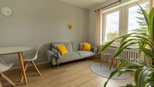 Löwe Apartment Gelb Tiengen Altstadt - Foto 1