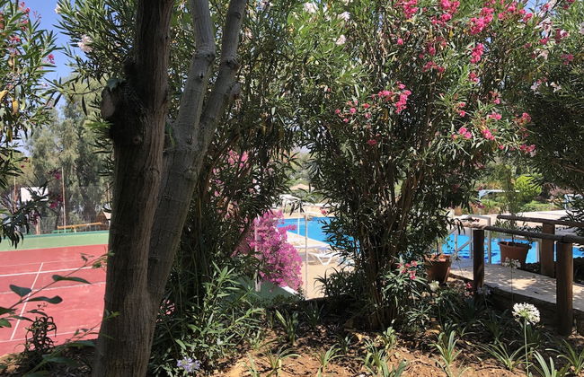 Splendid Valley & Sea View - Foto 31