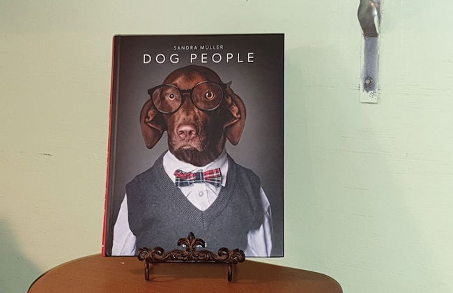 Fig Tree Retro Studio - Foto 21