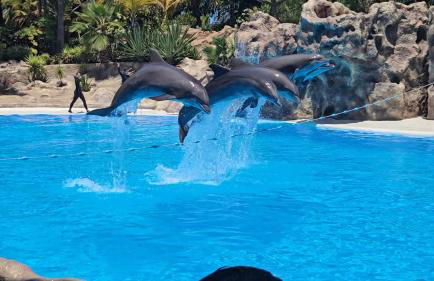 Blue Ocean Costa Adeje 506 - Foto 69