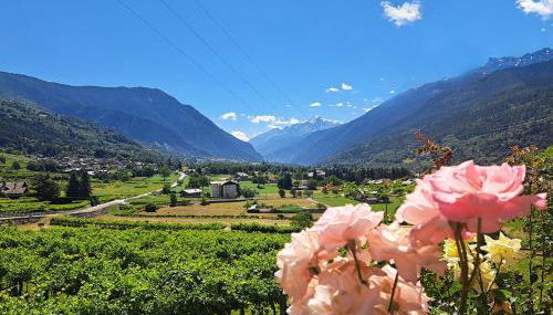 Una vetrina su Morgex - Foto 5