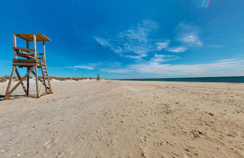 Seashells on Bank - Foto 22