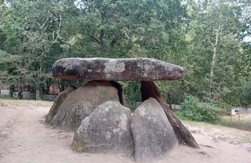 A PINTEGA DAS DUNAS - Foto 46