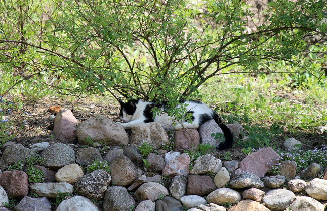 Landhaus Masurische Schweiz - Foto 52