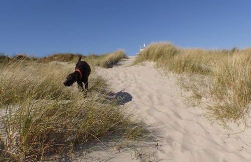 Captain Baack - Foto 24