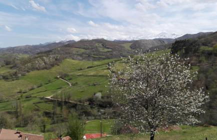 Apartamentos El Llanin - Foto 63