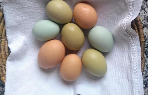 Oase der Geborgenheit - Foto 7