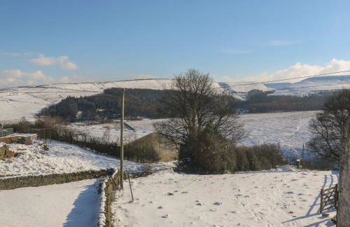 The Shearer's Hut - Photo 33