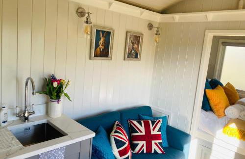 Whiskers and Woods Shepherd Hut - Foto 19