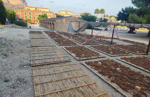 El oasis relajante the relaxing oasis - Photo 45