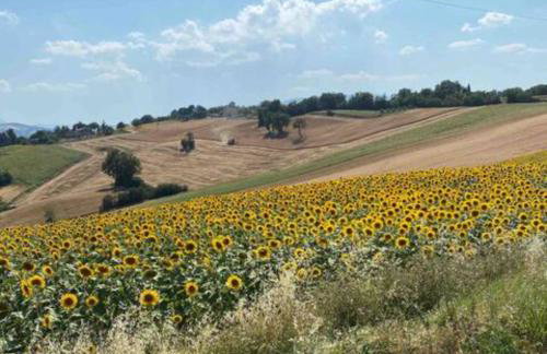 Via Verdi 14 - Foto 45